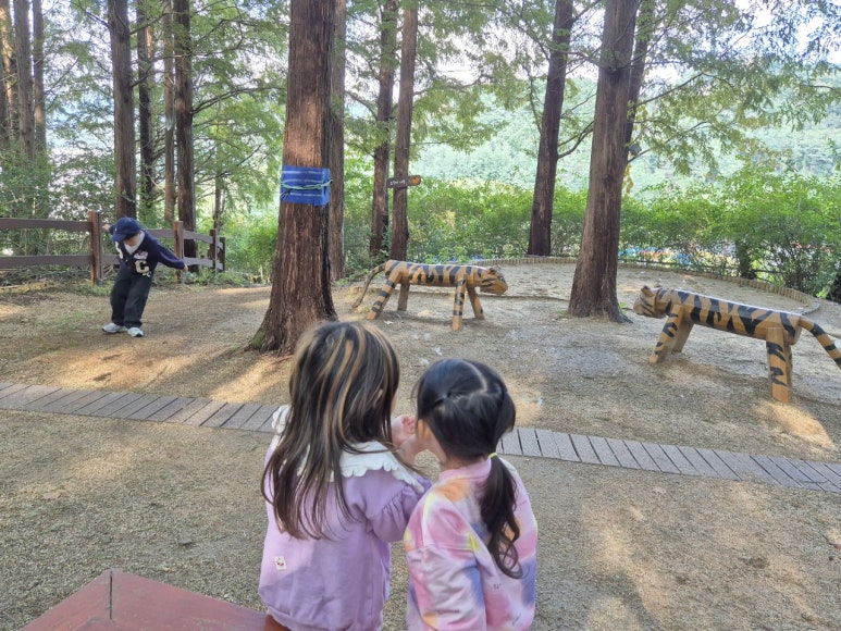 다움숲자연학교_2-10월_숲학교-오감반-72781888847.jpg