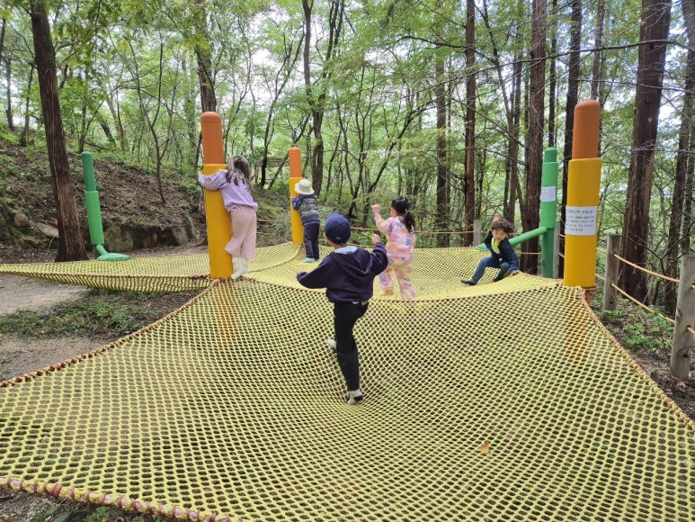 다움숲자연학교_2-10월_숲학교-오감반-72781888817.jpg
