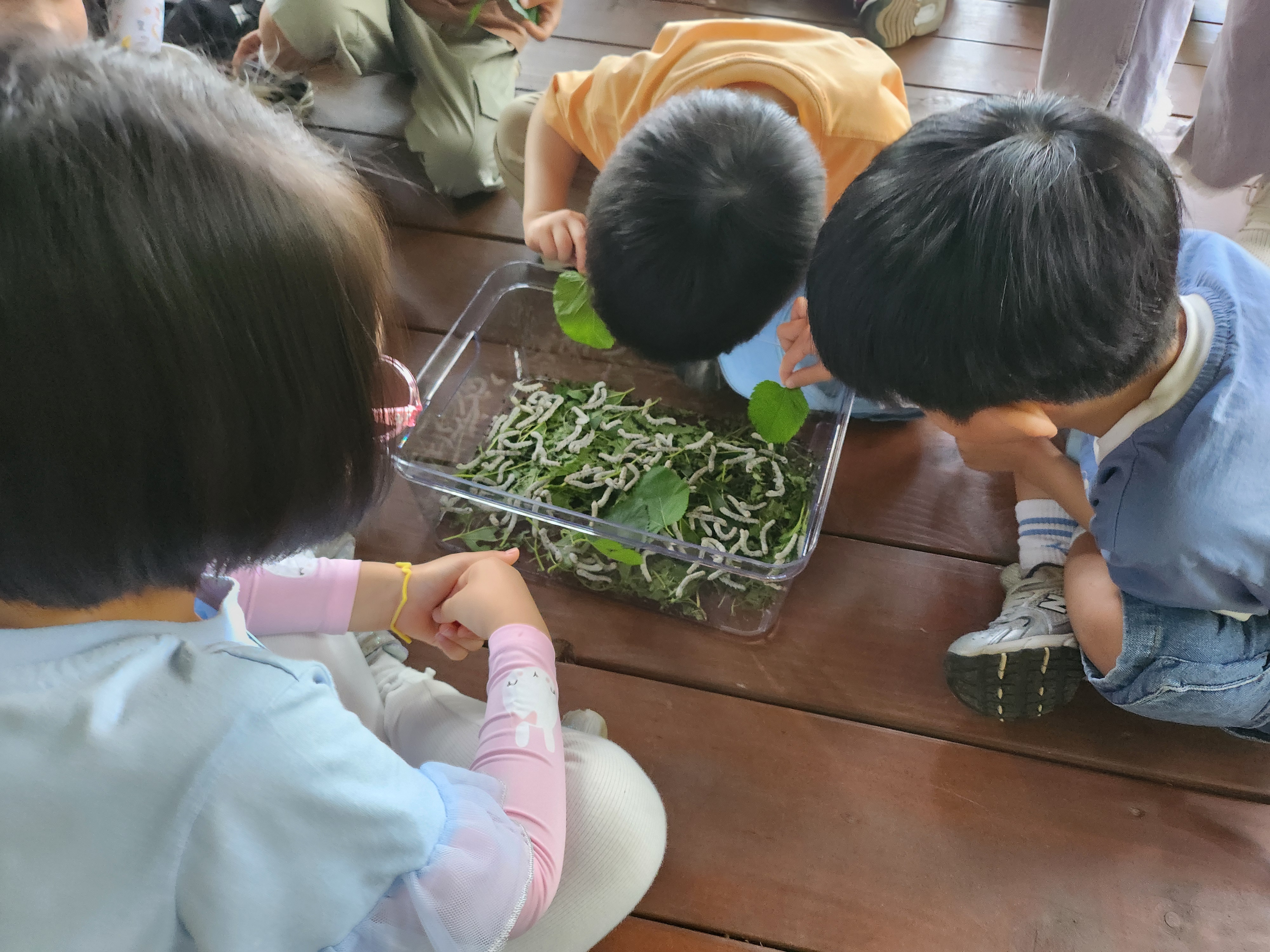 KakaoTalk_20250522_143437738_04.jpg