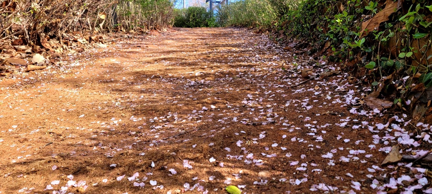 KakaoTalk_20250514_135039216.jpg